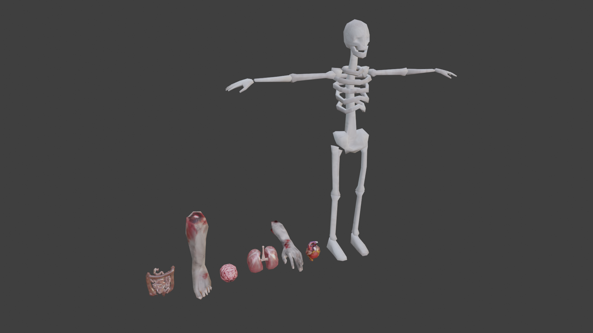 Anatomy (LOW-POLY) preview image 1